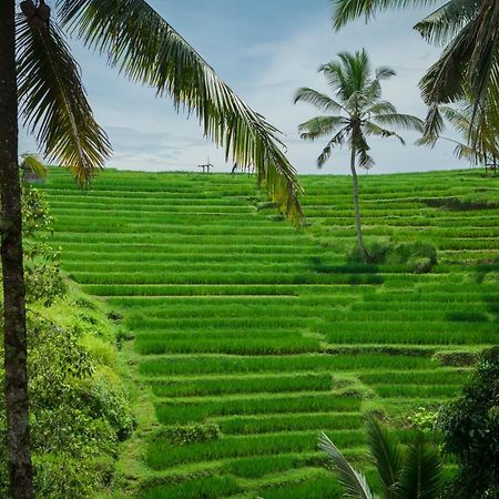 Be Bali Stay Ubud Eksteriør billede