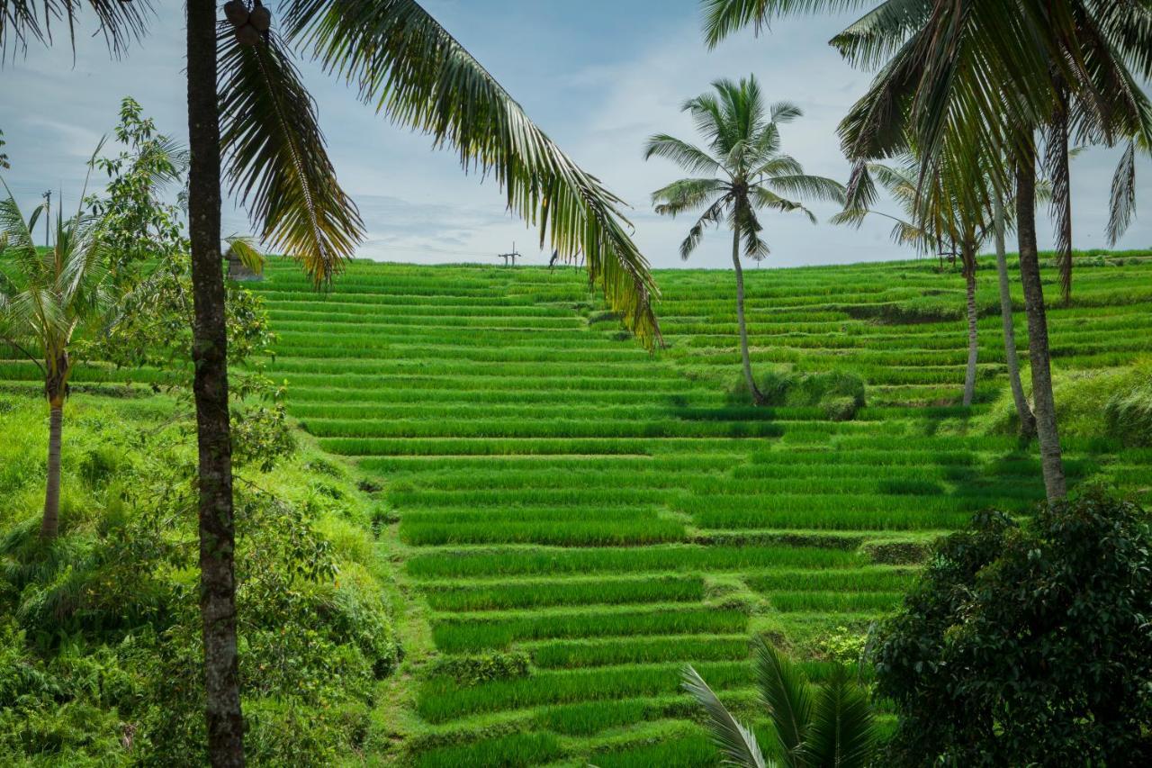 Be Bali Stay Ubud Eksteriør billede