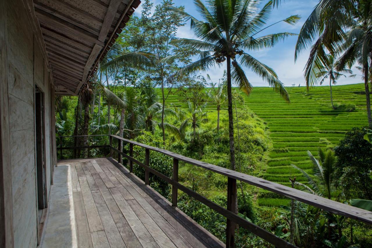 Be Bali Stay Ubud Eksteriør billede